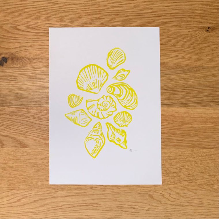 Shells A4 Print